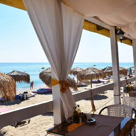 Alice * 奥布佐尔